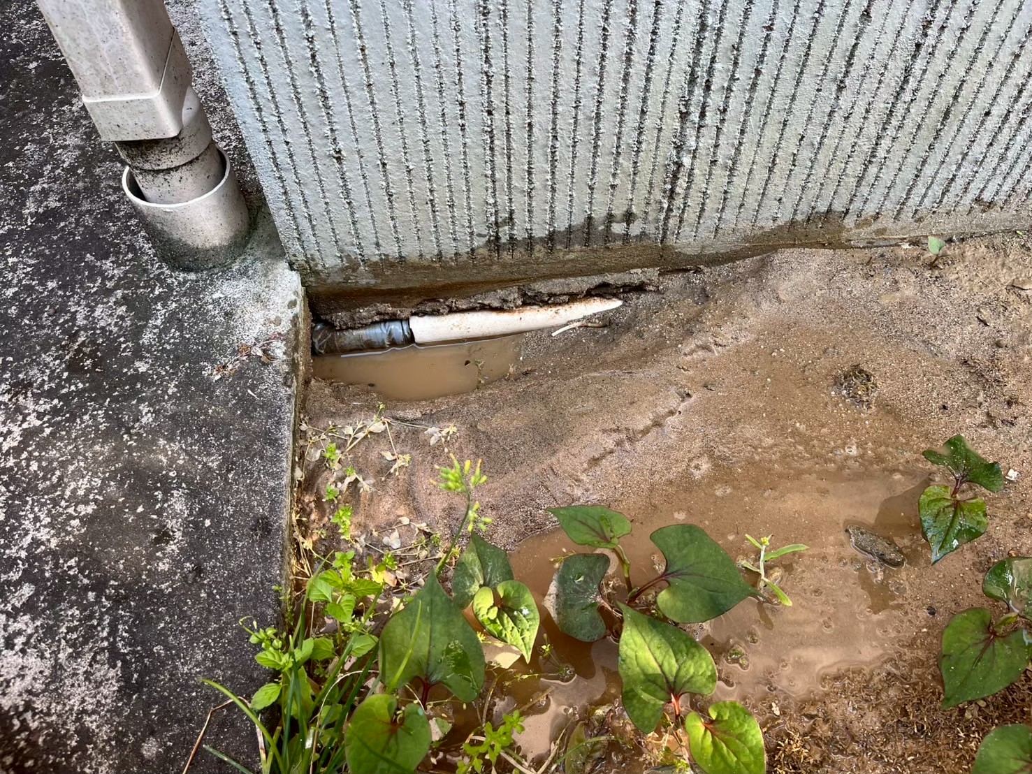 ガス給湯器の故障かと思いきや給湯管からの漏水が原因であった【京都市北区】