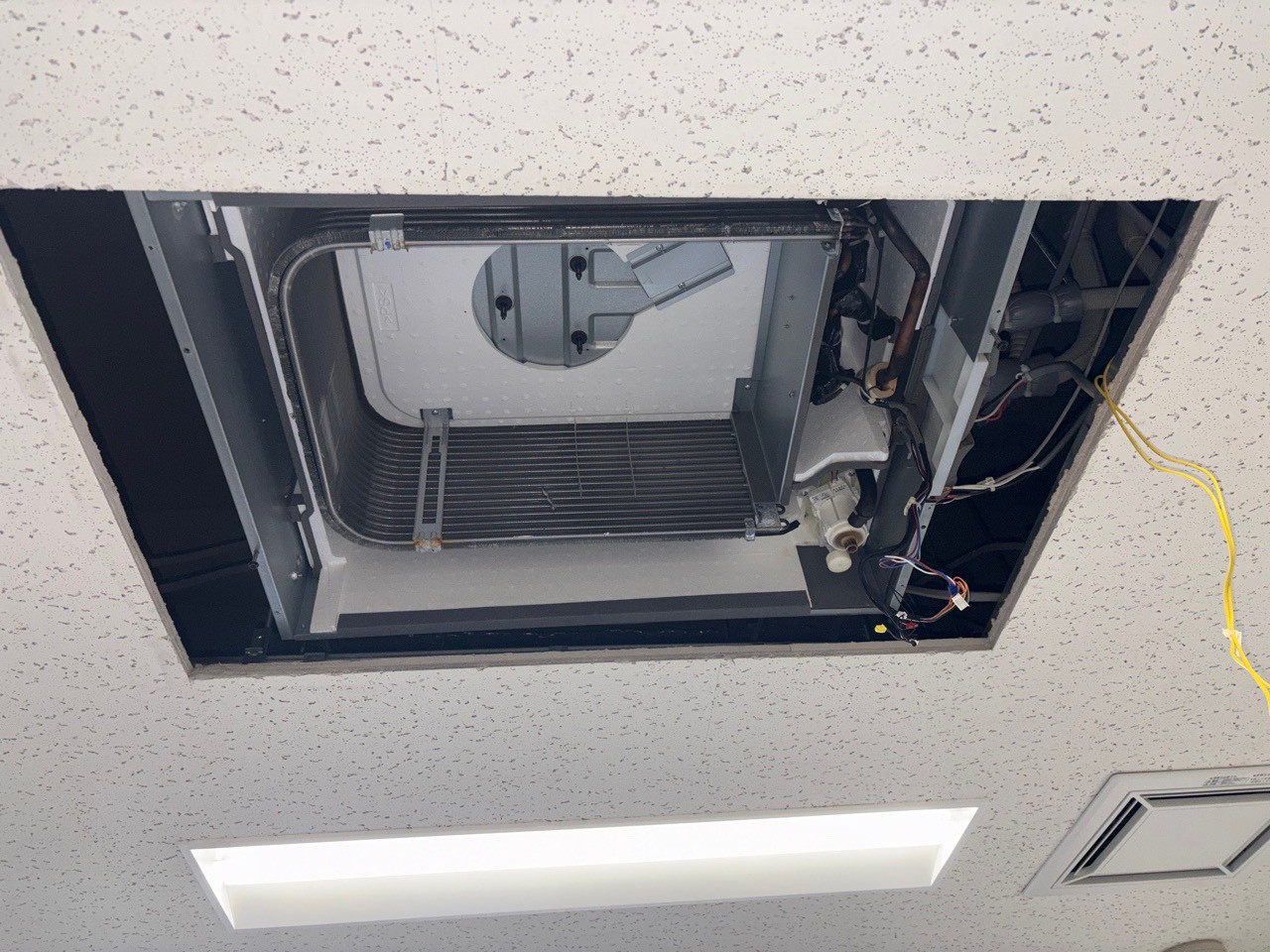 天井カセット形 2方向分解洗浄【京都市北区の法人様より】